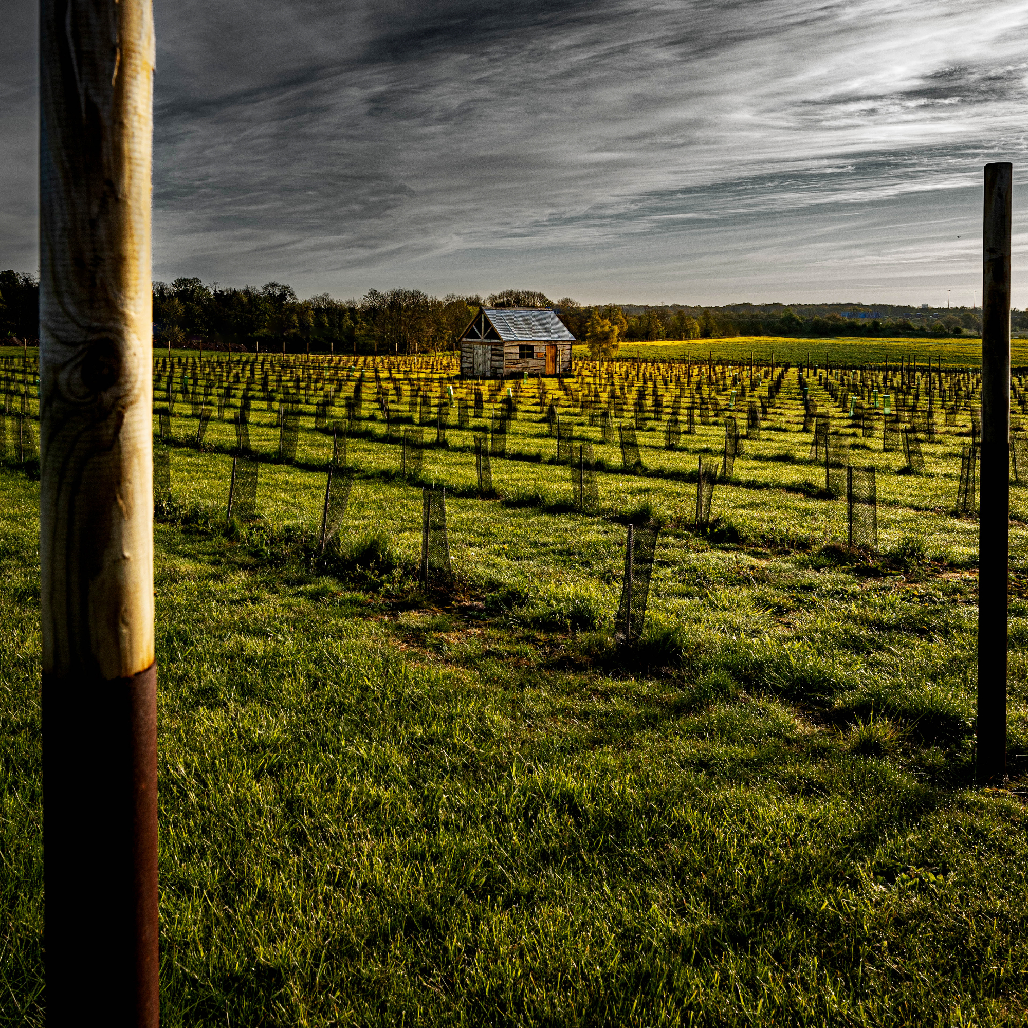 vineyard tour