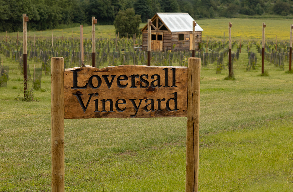 loversall vineyard 5